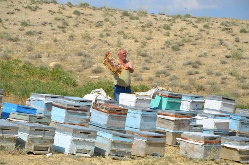 Darendeli Arıcılar, bu yıl verim yüksekliğinden umutlu
