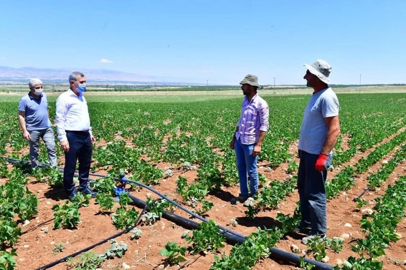 Yeşilyurt Belediyesi tarımsal arge sahasında üretimler hız kazandı
