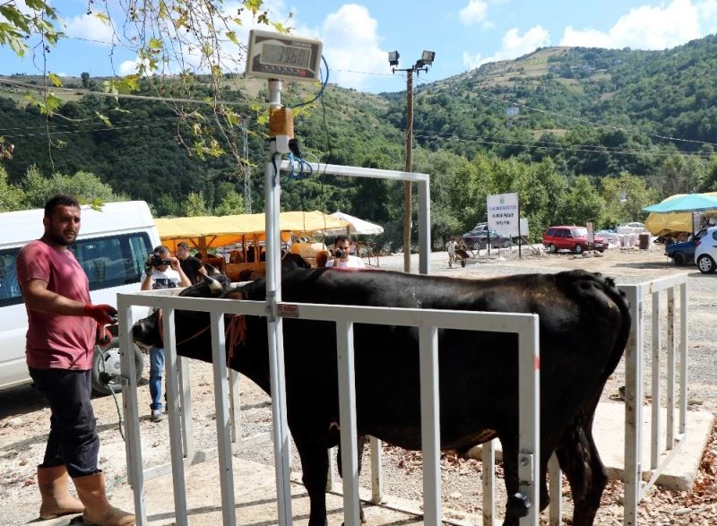 Pandemi onlara yaramıştı ancak lokantalar açılınca işleri düştü
