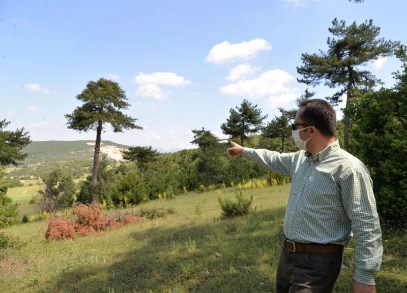 Tek karış boş arazi bile değerlendirilecek
