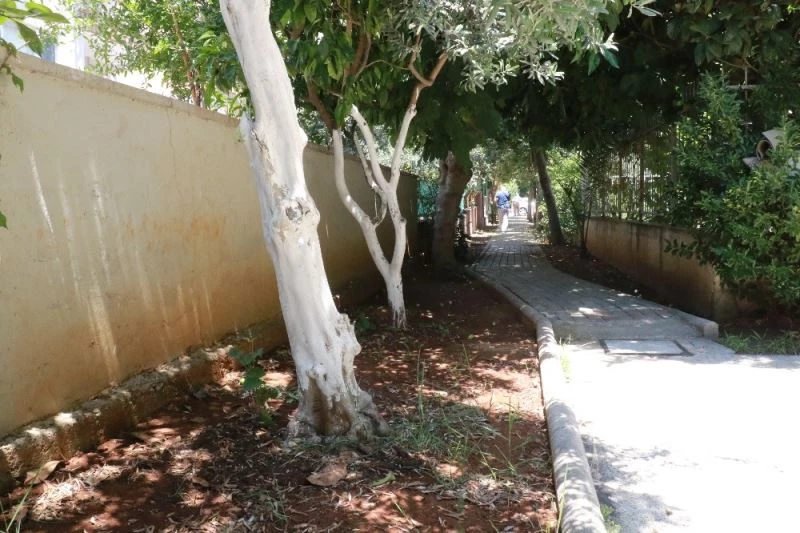 Antalya’da vicdanları sızlatan görüntü
