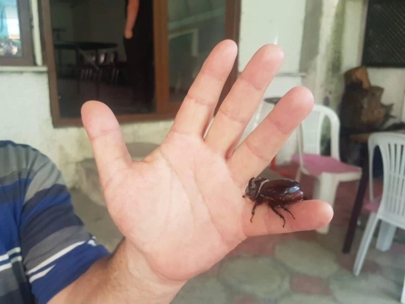 İmkanı olsa elinden tutup gezdiririm
