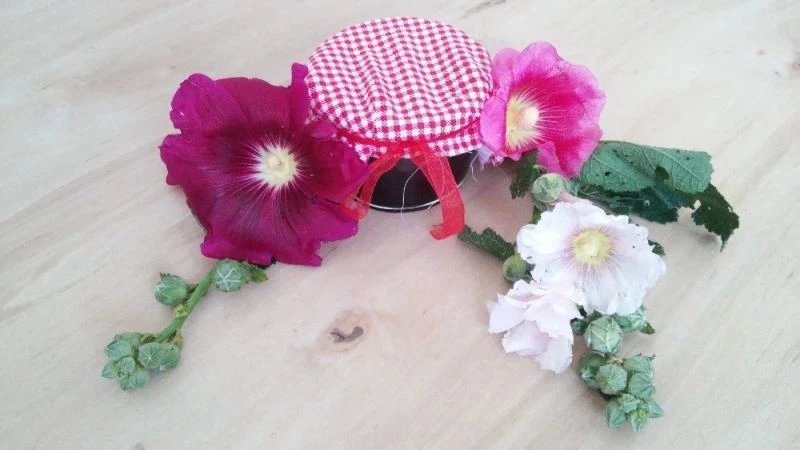 Barış Manço’nun şarkısından ilham aldı, Hatmi çiceğinin reçelini yaptı
