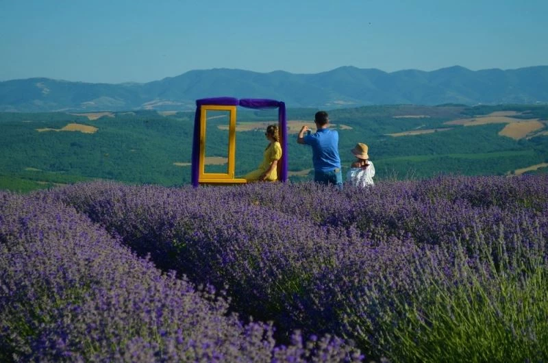 İstanbullular, Tekirdağ’daki mor tarlalara akın etti
