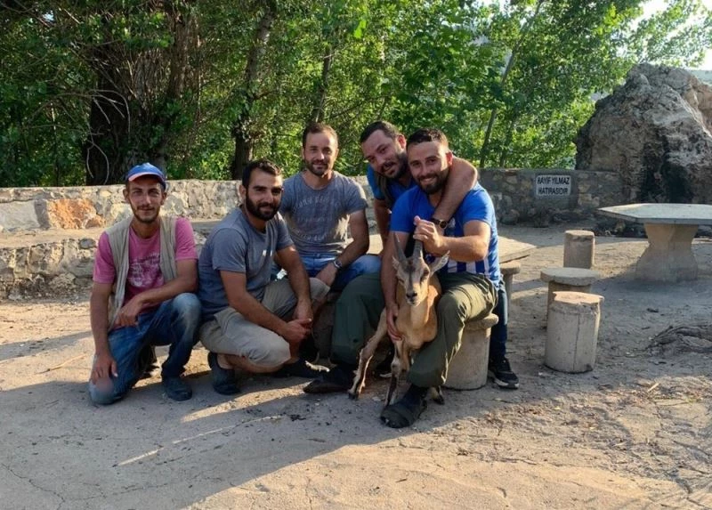 Hasta dağ keçisini 5 kilometre sırtlarında taşıdılar
