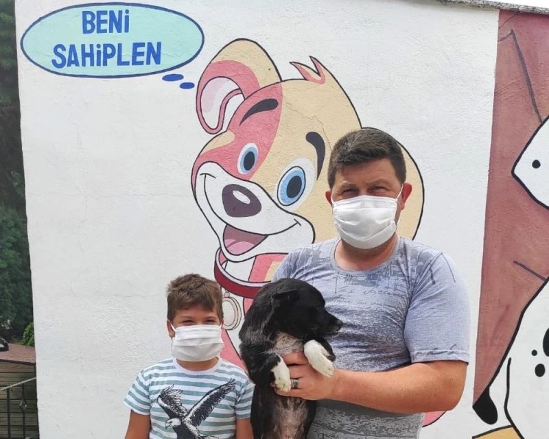 Çorlu Belediyesi sevimli dostları yeni ailelerine kavuşturuyor
