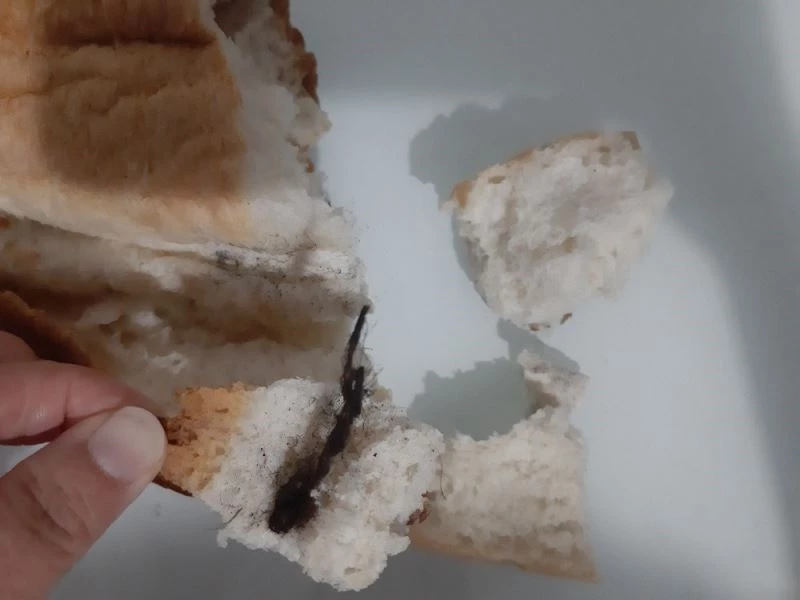 Ekmeğin içinden çıkanlar mide bulandırdı
