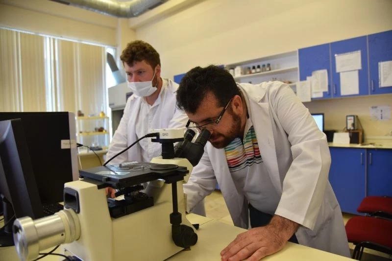 Düzce Üniversitesi’nin patenti ilk 10’da
