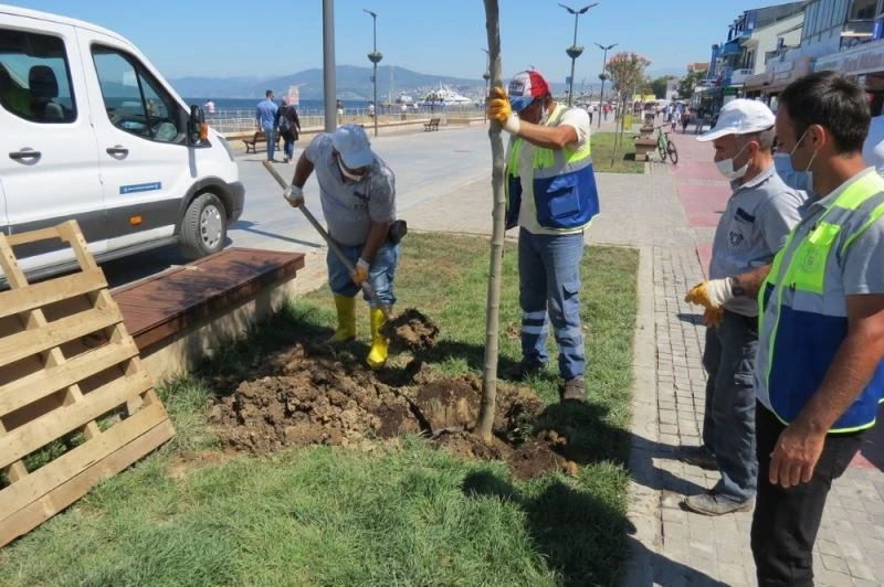 Sahil bulvarına büyükşehirden estetik dokunuşlar

