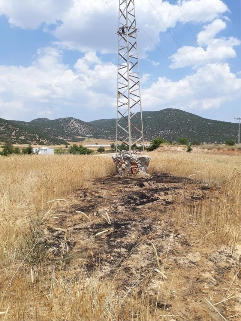 Yanarak elektrik direğinden yere düşen kargalar, tarlayı tutuşturdu
