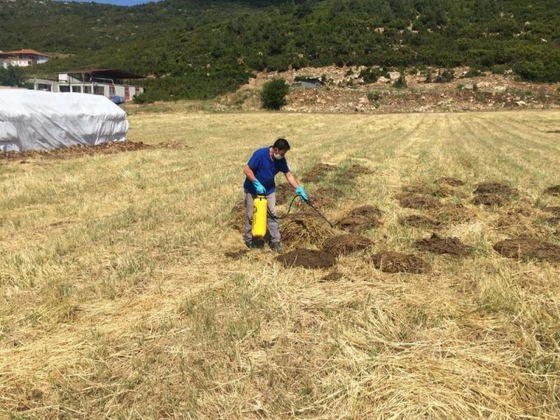Korkuteli’nde sinekle mücadele devam ediyor
