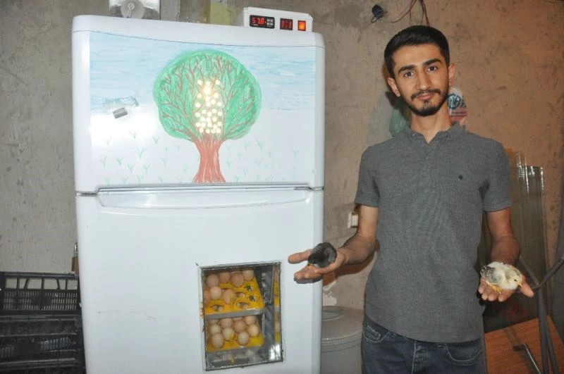Hurdacıdan aldığı buzdolabından yaptırdığı kuluçka makinesiyle civciv uretiyor
