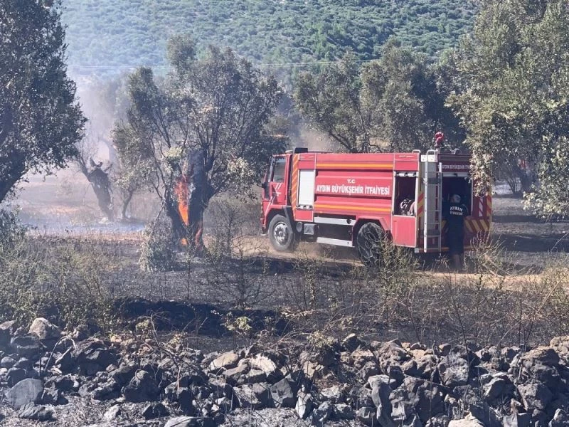 Büyükşehir İtfaiyesi Doğanbey’deki yangını büyümeden söndürdü
