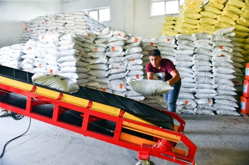 Çiftçiye Macar fiğ tohumu desteği için ön kayıt başvuruları başladı
