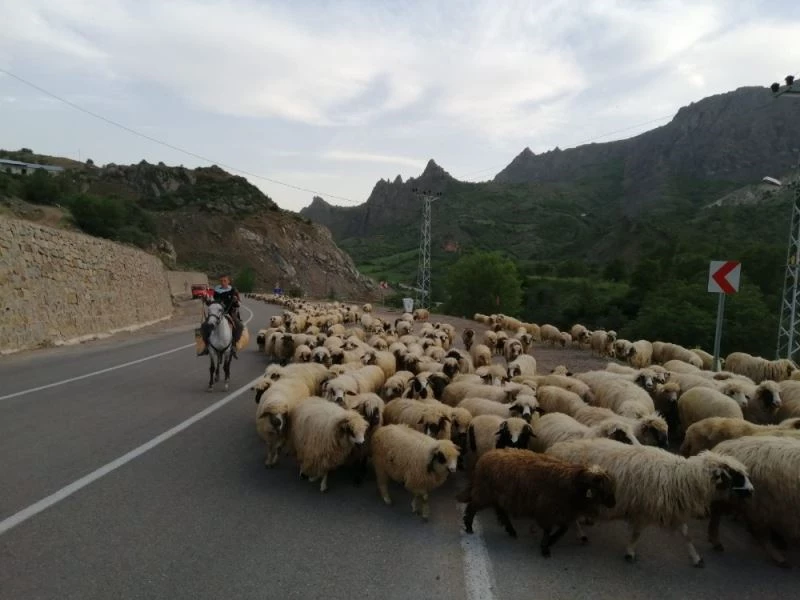 Şebinkarahisarlı yaylacılar haziran ayına kaldı
