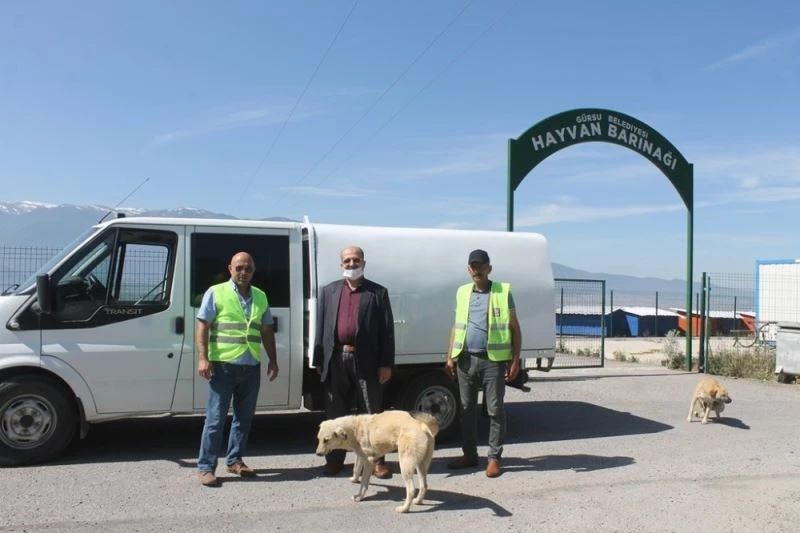 Işık: “Can dostlarımızın yaşama haklarını koruyoruz”
