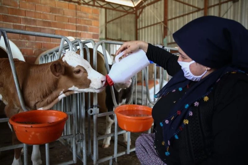 Devlet desteği Antalyalı Safiye