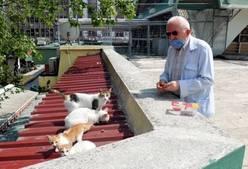 ’Kedilerin Dedesi’ yasağın ardından hem kedilerine hem işine kavuştu
