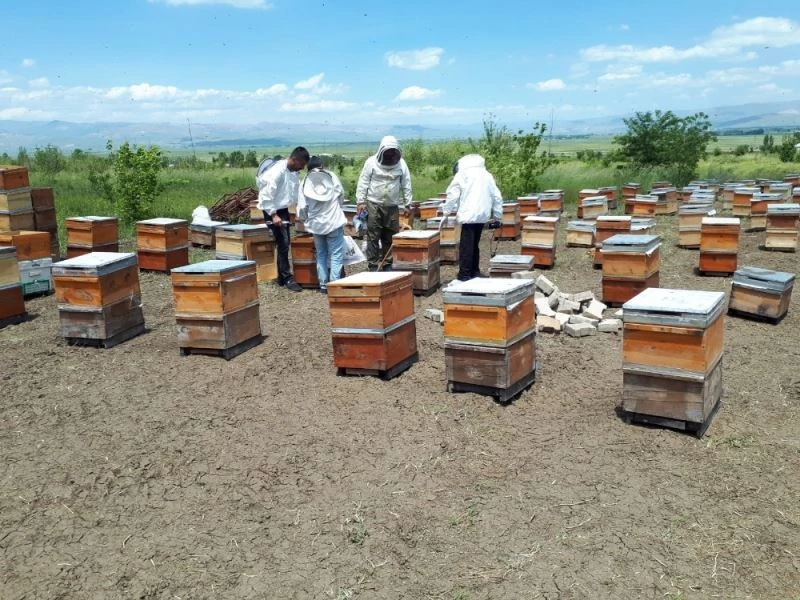 MŞÜ’den tarım ve hayvancılığı geliştirme çalışması

