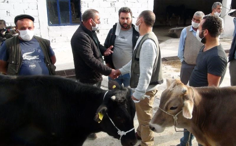 Hayvan pazarında bildik görüntüler
