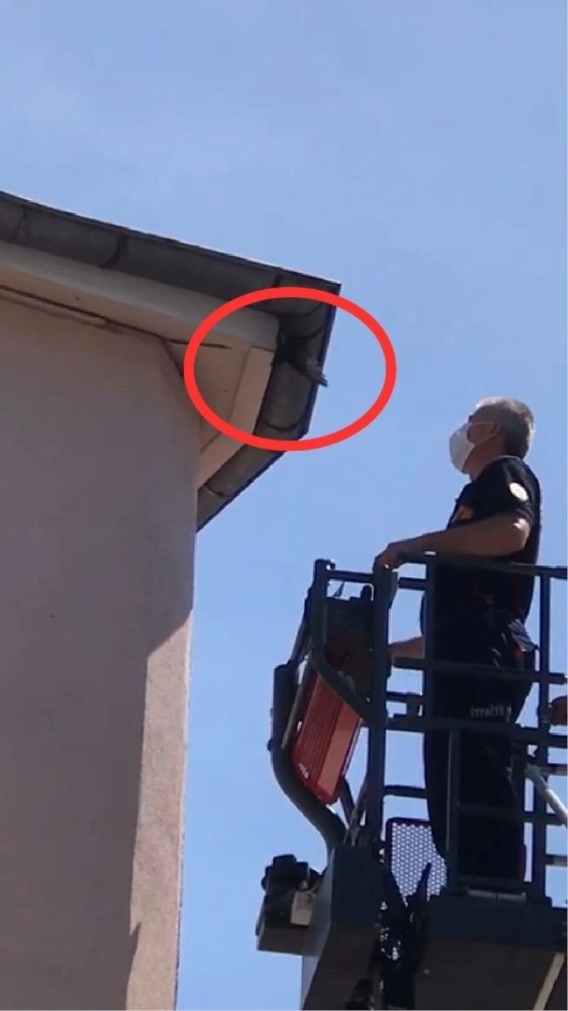 Çatıda sıkışan kırlangıcı itfaiye kurtardı

