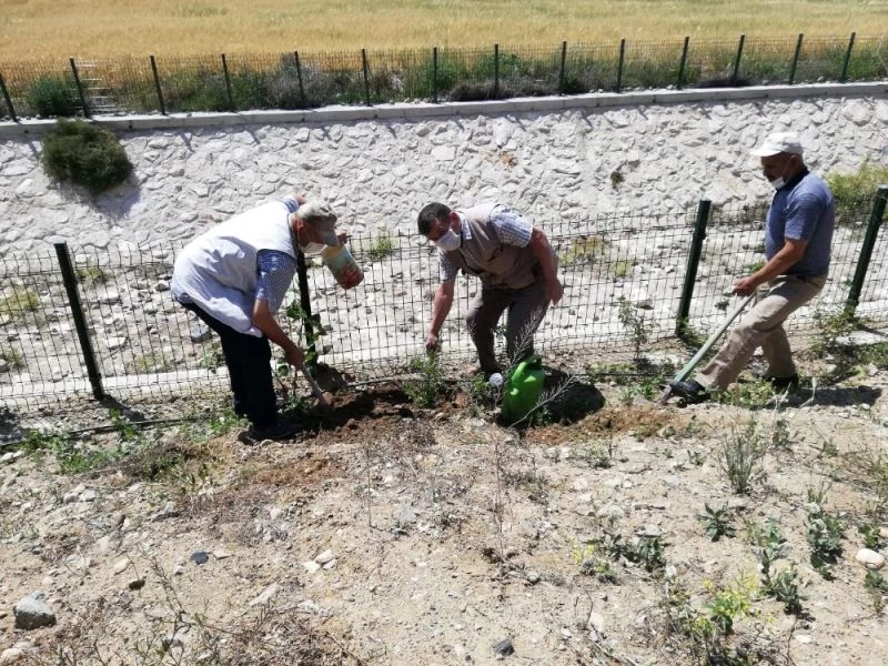 Sağlıkçılar ve güvenlik elemanları için fidan dikildi
