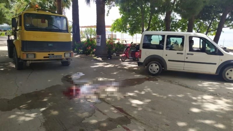 Attan düşerek hayatını kaybetti
