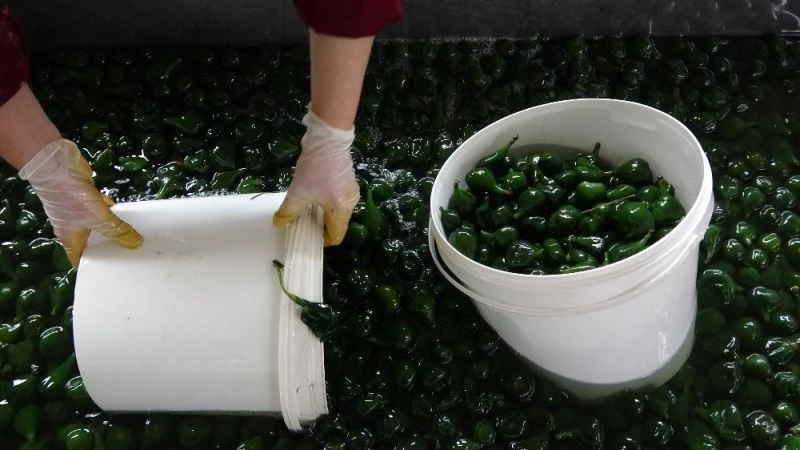 (Özel) Pandemi sürecinde konserve tüketimi arttı
