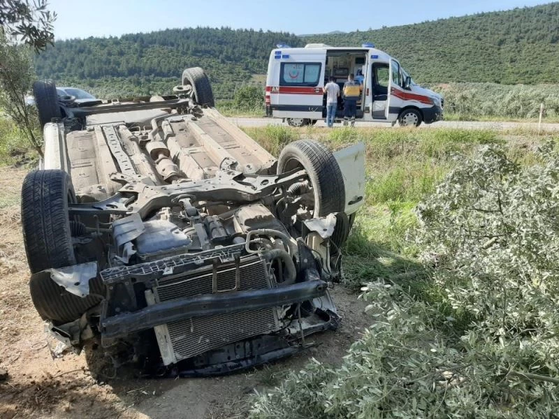 Direksiyon hakimiyetini kaybetti zeytinliğe uçtu
