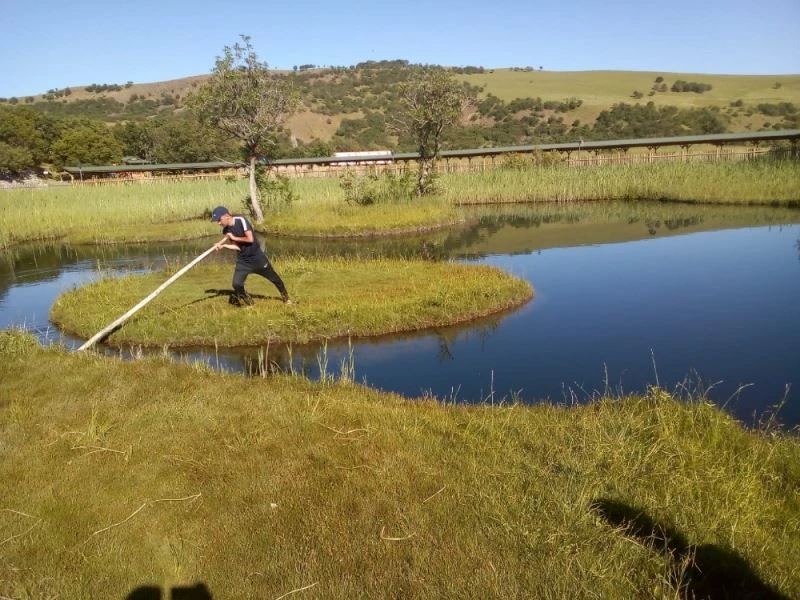 Yüzen adalar, normalleşme süreciyle birlikte ziyaretçilerini ağırlamaya başladı

