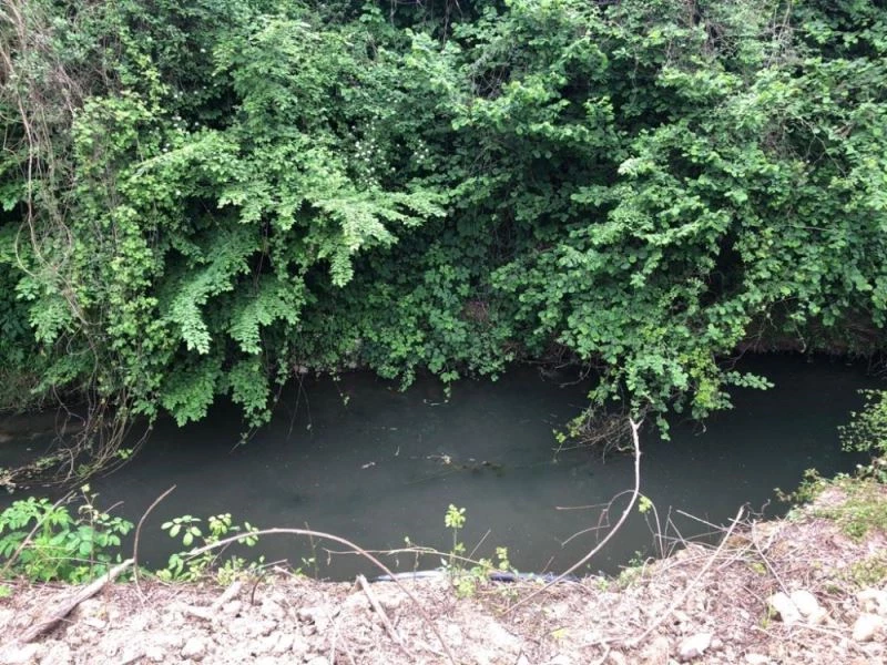 Roma ve Osmanlı’nın su kaynağı  “Paşa Suyu” köpürdü
