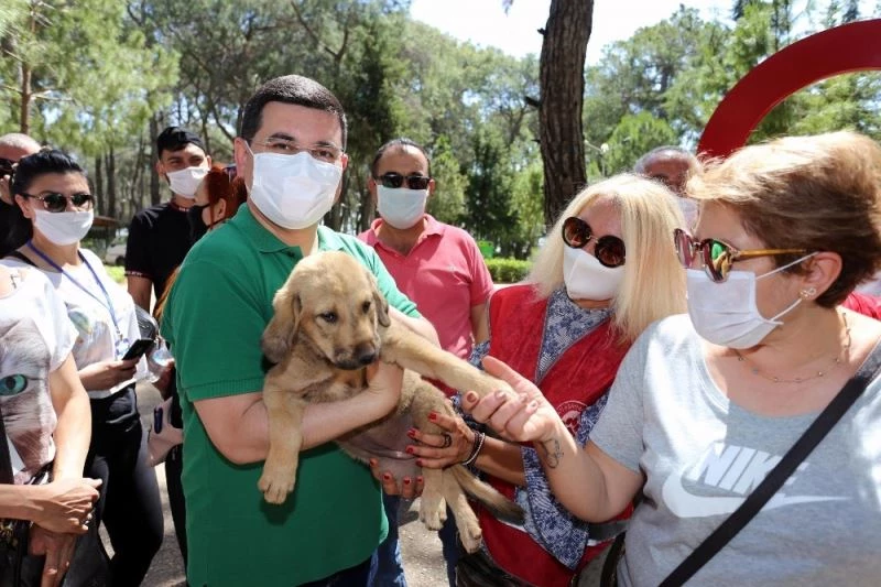 Tütüncü’den, gönüllü hayvanseverlere mama ve ilaç müjdesi
