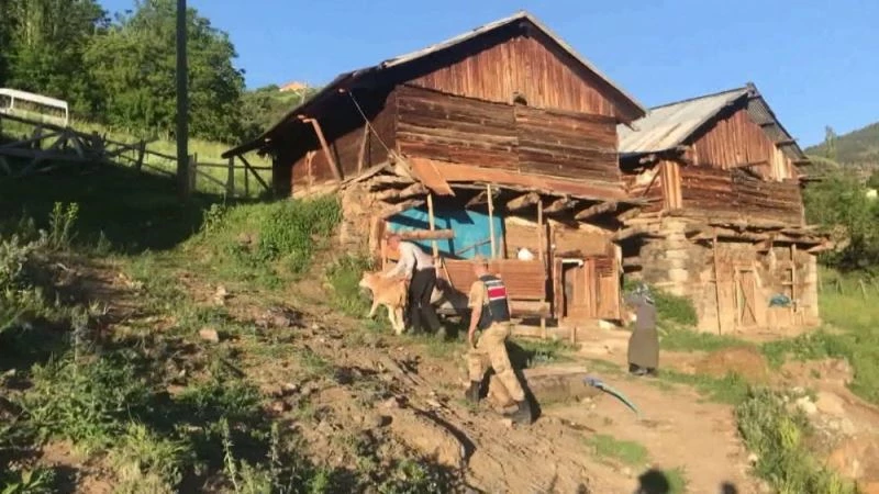 Jandarma kayıp buzağıları drone ile buldu
