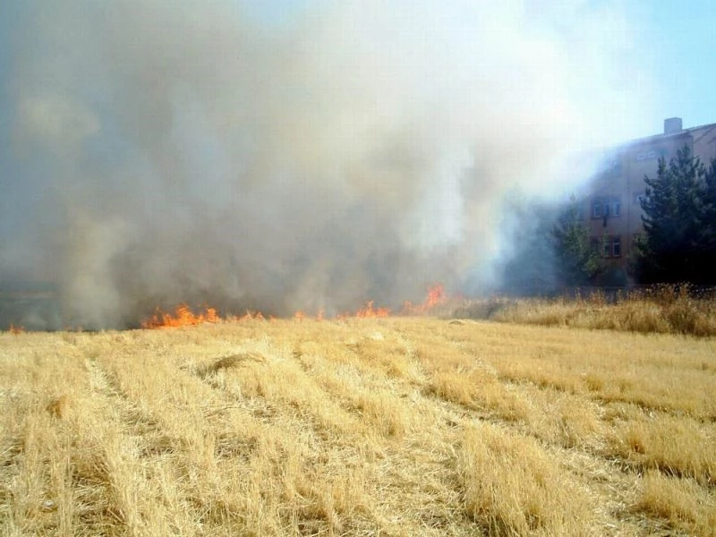 Anız yakanlara ceza uyarısı
