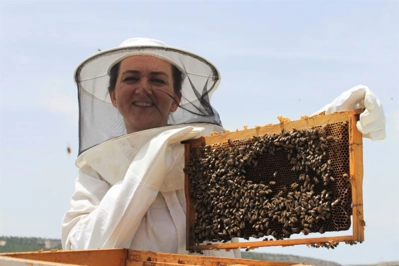 Bankacılığı bırakıp ‘arıcı’ oldu

