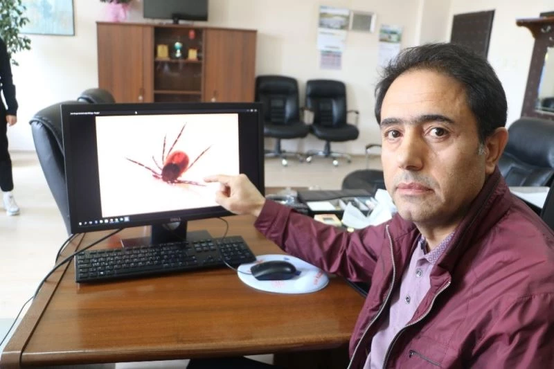 Kenelere çıplak elle dokunmayın
