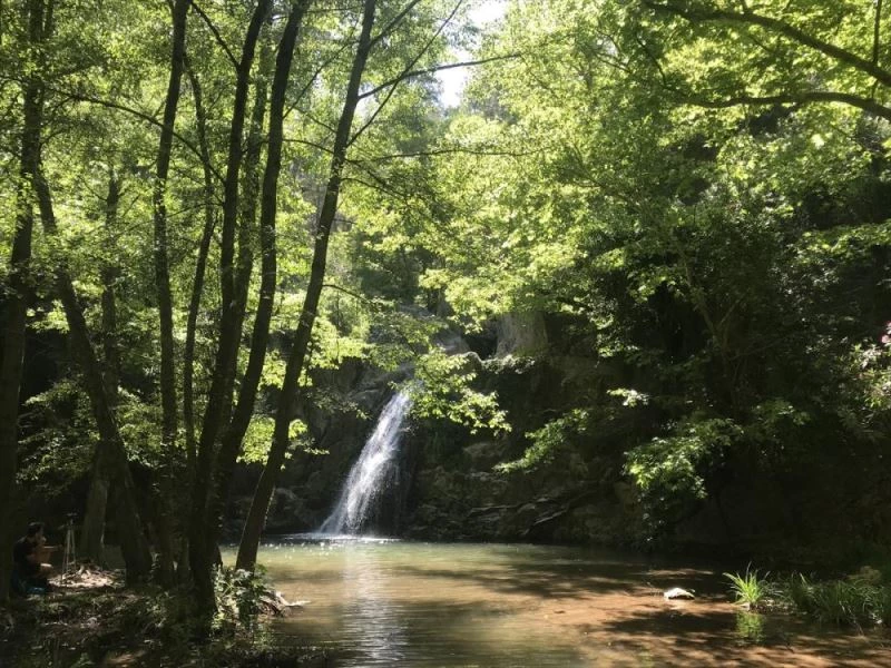Orman içerisindeki Kocaçay Şelalesi, keşfedilmeyi bekliyor