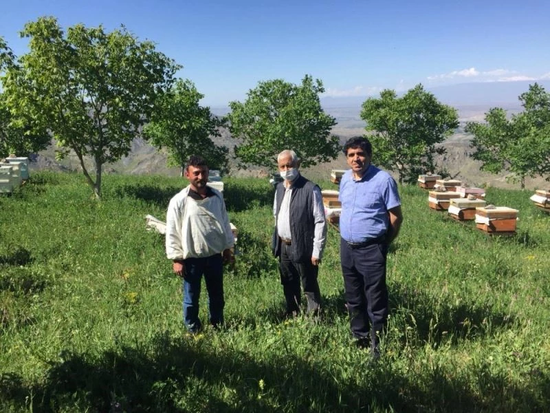 Rektör Alma, bal verimini artırma projesini yerinde inceledi
