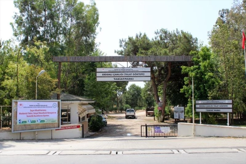 Erdemli Çamlığı Tabiat Parkı, kapılarını yeniden ziyaretçilerine açtı