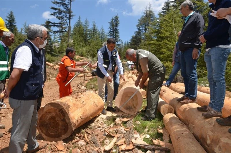 Akduman, üretim sahalarını inceledi
