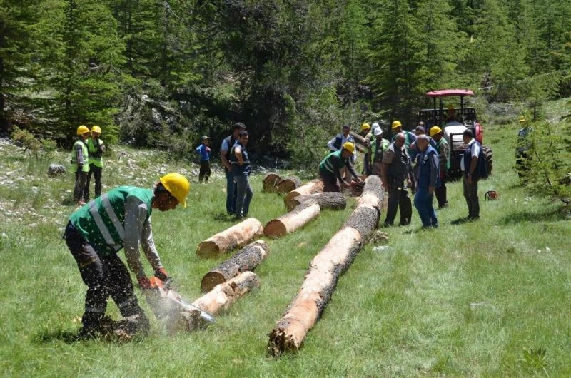 Akduman: “2020’de yerel orman köylülerimize 34 milyon lira ödeme yapacağız”
