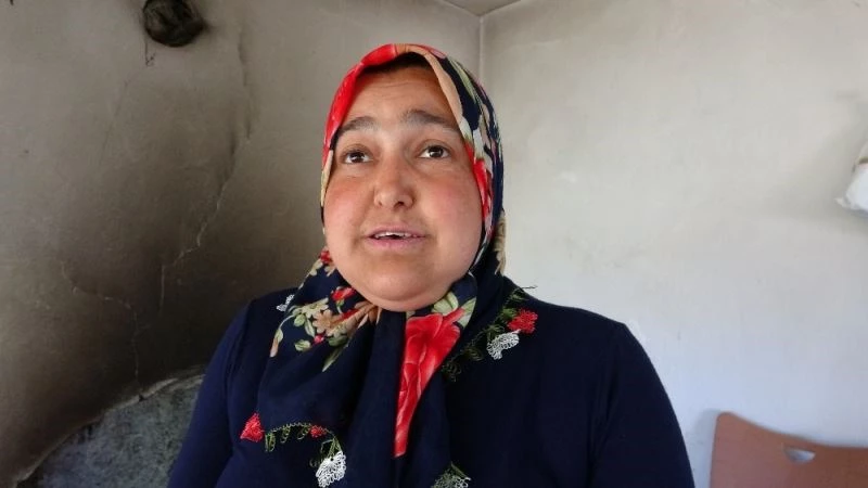 Sarı kız örümceği akrebin düşmanı
