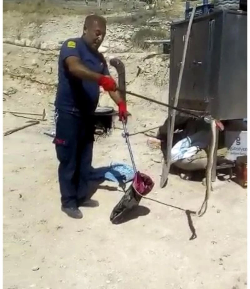 Ereğli’de görülen yılan korkuya neden oldu
