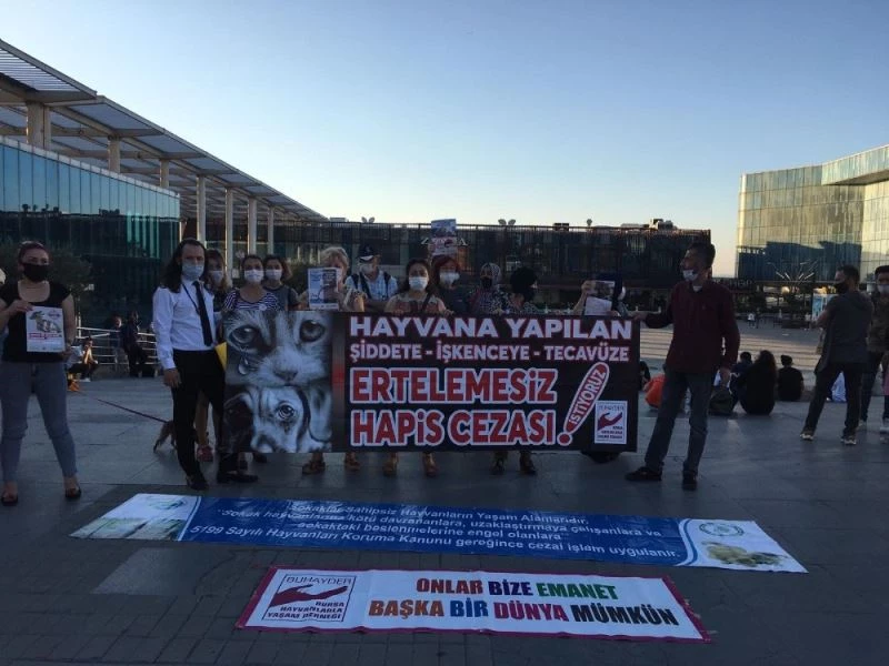 Bursalı hayvanseverlerden çağrı
