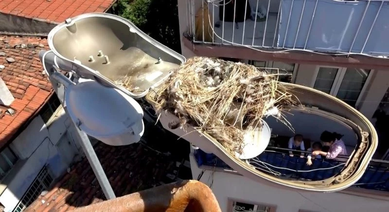 (Özel) Arıza için gittiler, kuş yuvasıyla karşılaştılar
