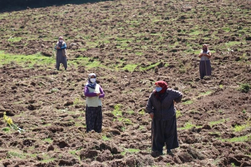Hayvan otlattıkları meraları iş makinesiyle tahrip edilen köylüler nöbet tutuyor
