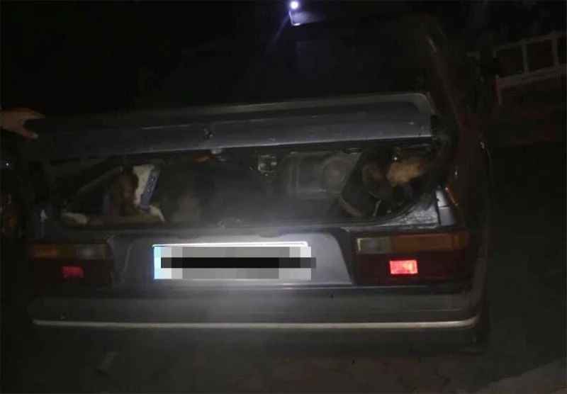 Aracın bagajında av köpekleriyle yakalandılar

