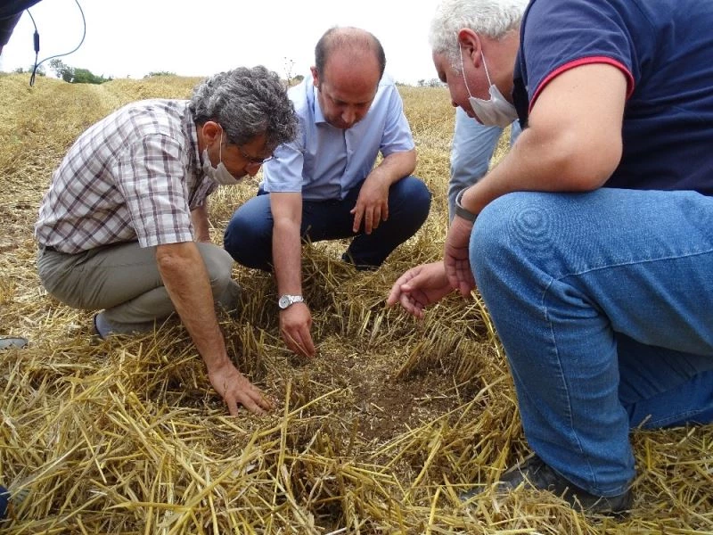 Hasatta tane kaybına geçit yok
