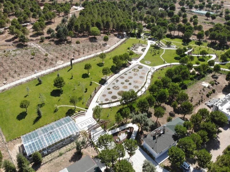 850 türü barındıran PAÜ Botanik Bahçesi göz kamaştırıyor
