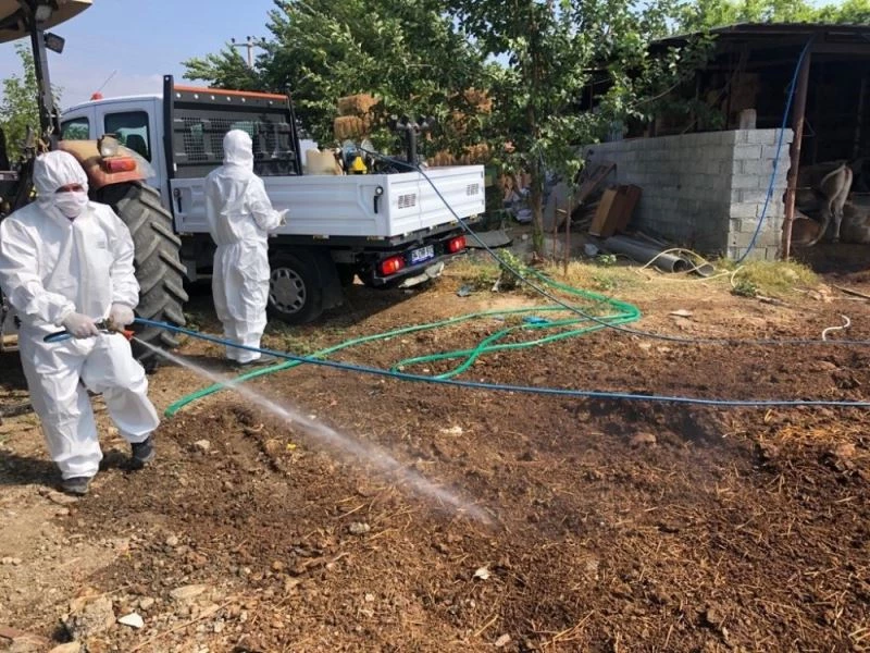 Büyükşehir vektörel mücadeleye devam ediyor
